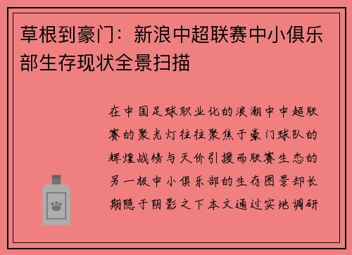 草根到豪门：新浪中超联赛中小俱乐部生存现状全景扫描